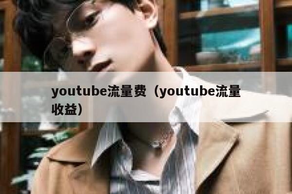 youtube流量费（youtube流量收益） 第1张