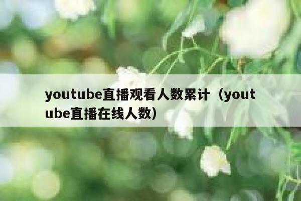 youtube直播观看人数累计（youtube直播在线人数） 第1张