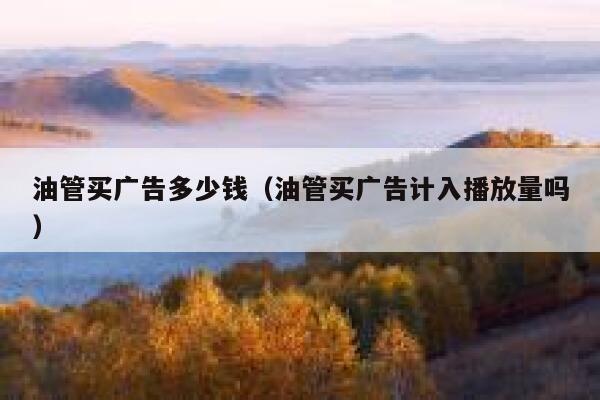 油管买广告多少钱（油管买广告计入播放量吗） 第1张