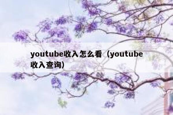 youtube收入怎么看（youtube收入查询） 第1张