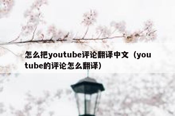 怎么把youtube评论翻译中文（youtube的评论怎么翻译） 第1张