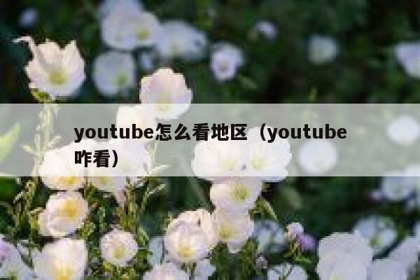 youtube怎么看地区（youtube咋看） 第1张