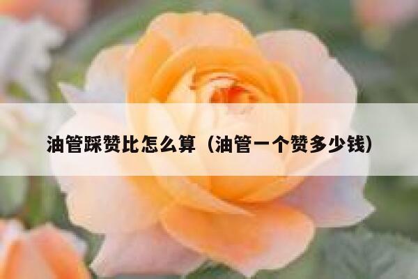 油管踩赞比怎么算（油管一个赞多少钱） 第1张