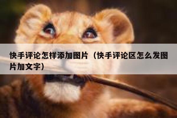 快手评论怎样添加图片（快手评论区怎么发图片加文字） 第1张