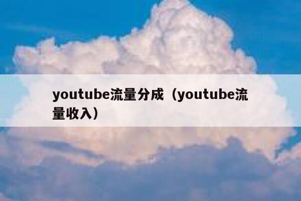 youtube流量分成（youtube流量收入） 第1张