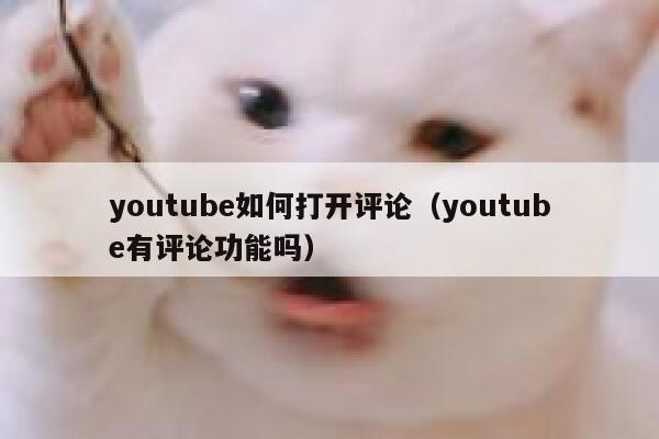 youtube如何打开评论（youtube有评论功能吗） 第1张