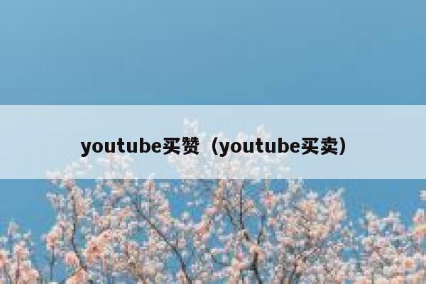 youtube买赞（youtube买卖） 第1张