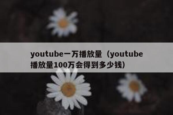 youtube一万播放量（youtube播放量100万会得到多少钱） 第1张