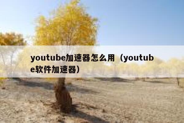 youtube加速器怎么用（youtube软件加速器） 第1张