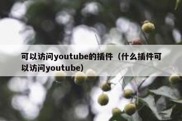 可以访问youtube的插件（什么插件可以访问youtube） 第1张