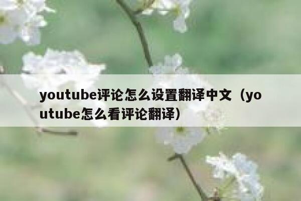 youtube评论怎么设置翻译中文（youtube怎么看评论翻译） 第1张