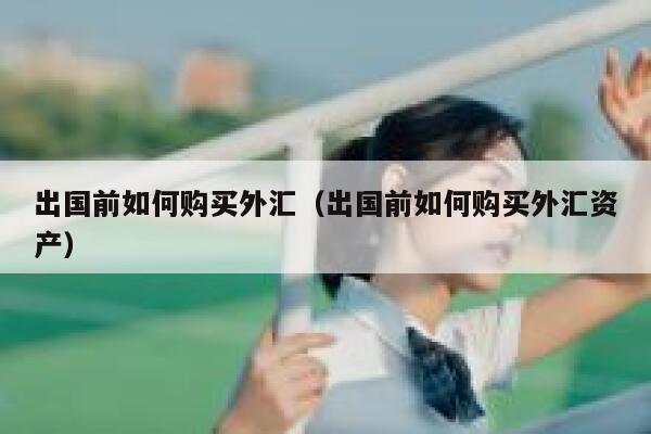 出国前如何购买外汇（出国前如何购买外汇资产） 第1张