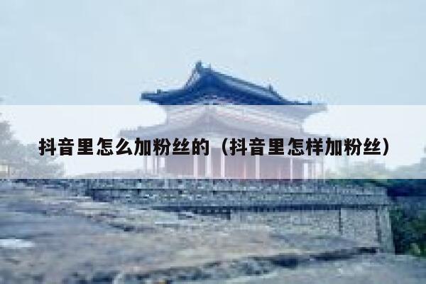 抖音里怎么加粉丝的（抖音里怎样加粉丝） 第1张
