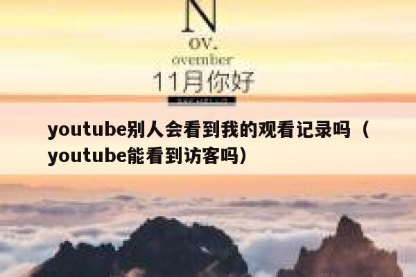 youtube别人会看到我的观看记录吗（youtube能看到访客吗） 第1张