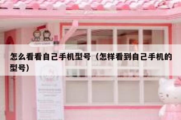 怎么看看自己手机型号（怎样看到自己手机的型号） 第1张