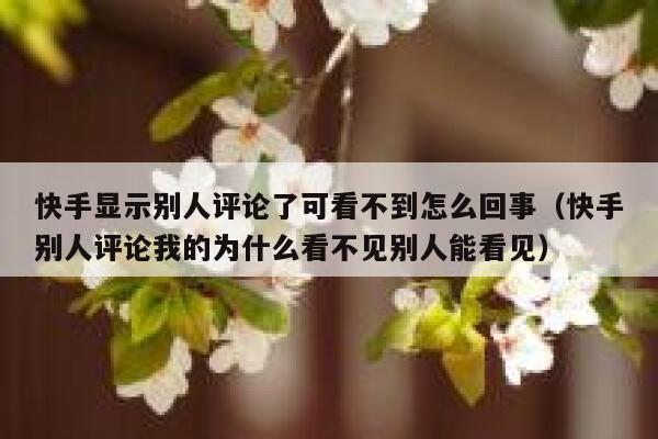 快手显示别人评论了可看不到怎么回事（快手别人评论我的为什么看不见别人能看见） 第1张