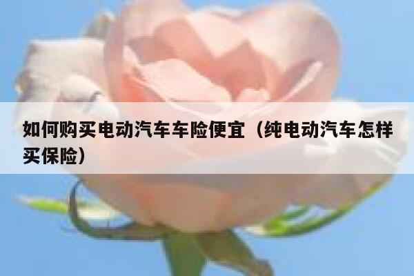 如何购买电动汽车车险便宜（纯电动汽车怎样买保险） 第1张