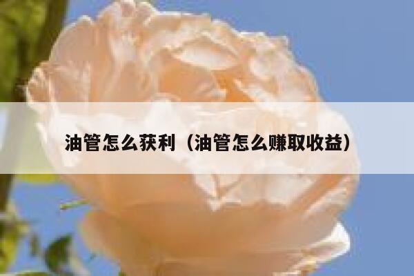 油管怎么获利（油管怎么赚取收益） 第1张