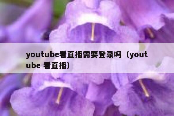 youtube看直播需要登录吗（youtube 看直播） 第1张