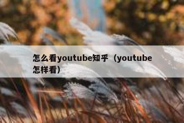 怎么看youtube知乎（youtube怎样看） 第1张