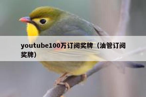 youtube100万订阅奖牌（油管订阅奖牌） 第1张
