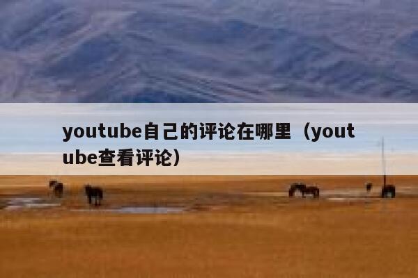 youtube自己的评论在哪里（youtube查看评论） 第1张