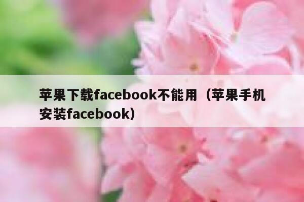苹果下载facebook不能用（苹果手机安装facebook） 第1张
