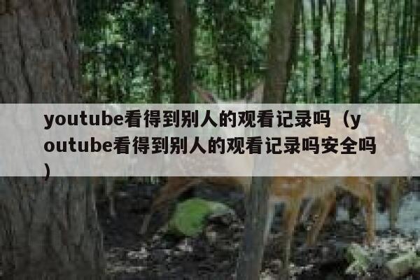 youtube看得到别人的观看记录吗（youtube看得到别人的观看记录吗安全吗） 第1张