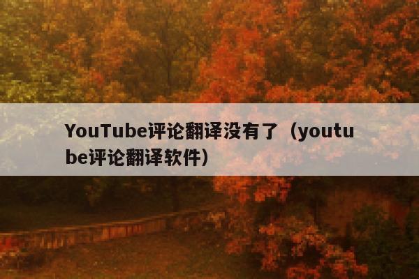 YouTube评论翻译没有了（youtube评论翻译软件） 第1张