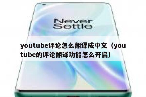 youtube评论怎么翻译成中文（youtube的评论翻译功能怎么开启） 第1张