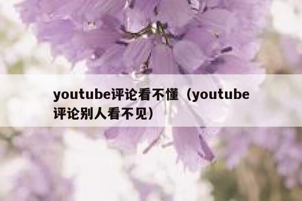 youtube评论看不懂（youtube评论别人看不见） 第1张