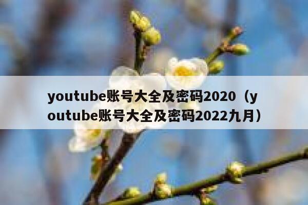 youtube账号大全及密码2020（youtube账号大全及密码2022九月） 第1张