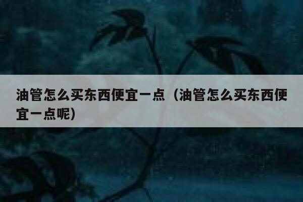 油管怎么买东西便宜一点（油管怎么买东西便宜一点呢） 第1张
