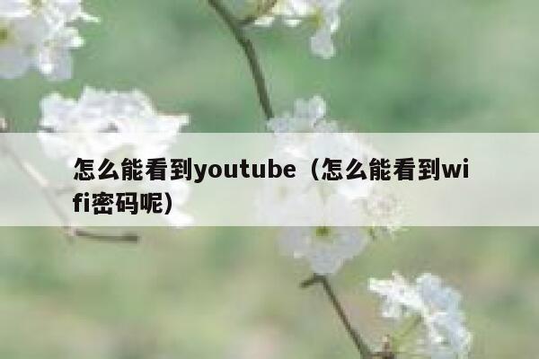 怎么能看到youtube（怎么能看到wifi密码呢） 第1张