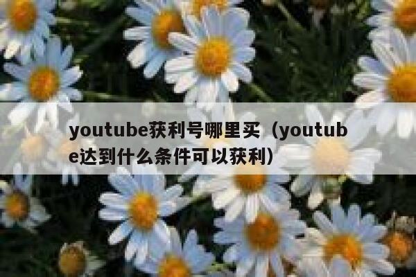 youtube获利号哪里买（youtube达到什么条件可以获利） 第1张
