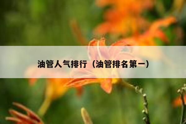 油管人气排行（油管排名第一） 第1张