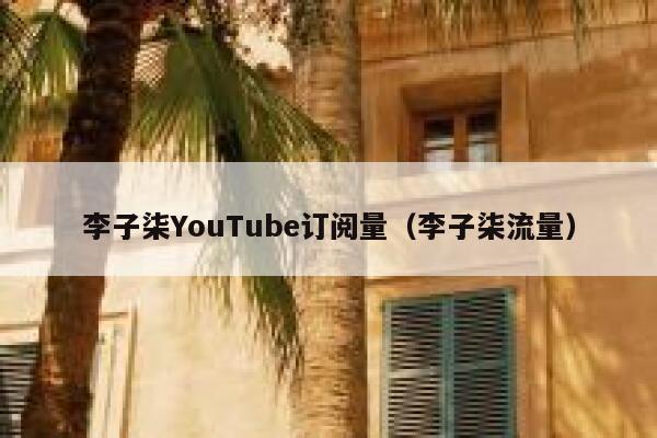 李子柒YouTube订阅量（李子柒流量） 第1张
