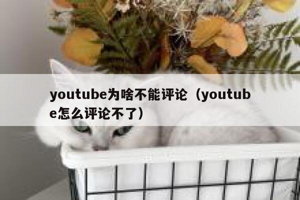 youtube为啥不能评论（youtube怎么评论不了） 第1张