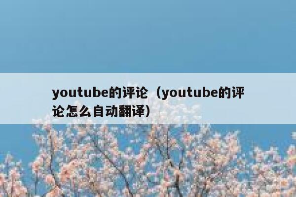 youtube的评论（youtube的评论怎么自动翻译） 第1张
