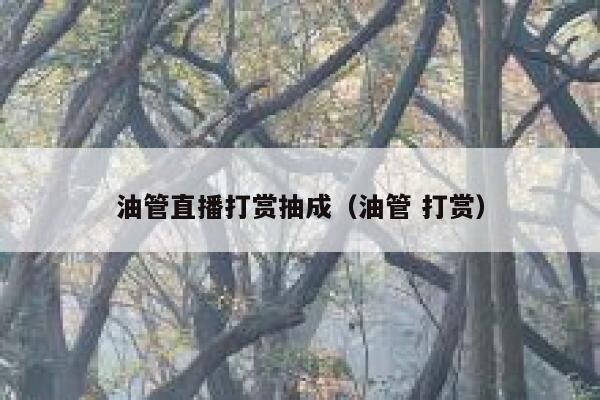 油管直播打赏抽成（油管 打赏） 第1张