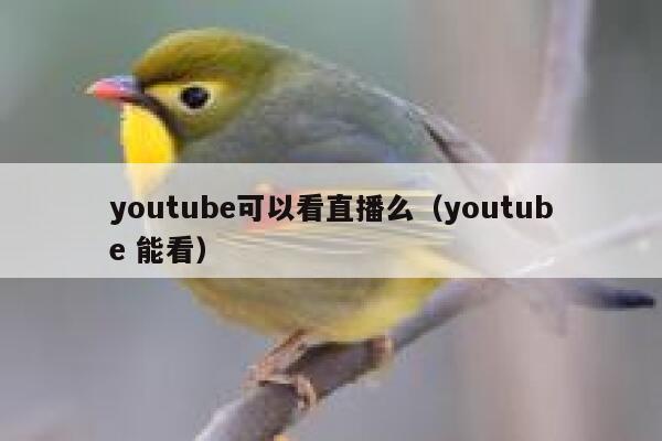 youtube可以看直播么（youtube 能看） 第1张