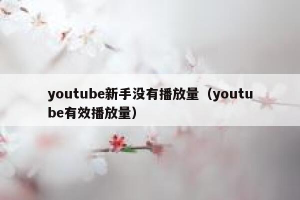 youtube新手没有播放量（youtube有效播放量） 第1张