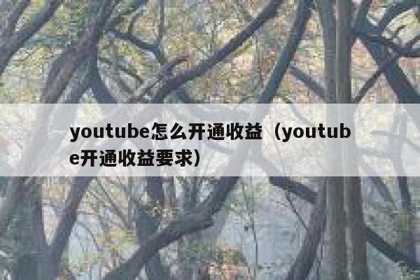 youtube怎么开通收益（youtube开通收益要求） 第1张
