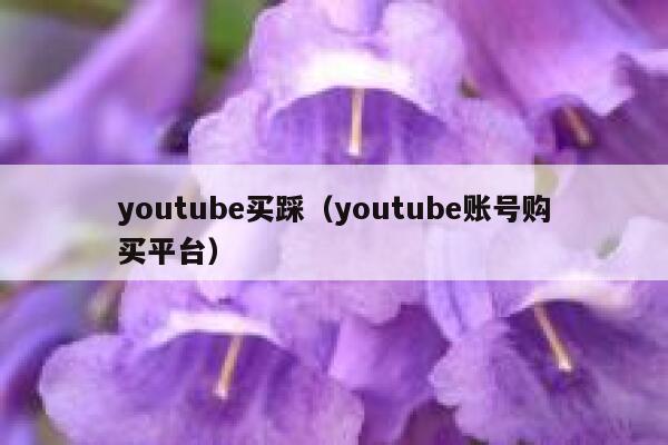 youtube买踩（youtube账号购买平台） 第1张
