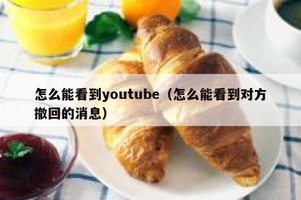 怎么能看到youtube（怎么能看到对方撤回的消息） 第1张