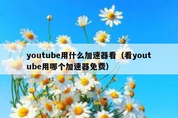 youtube用什么加速器看（看youtube用哪个加速器免费） 第1张