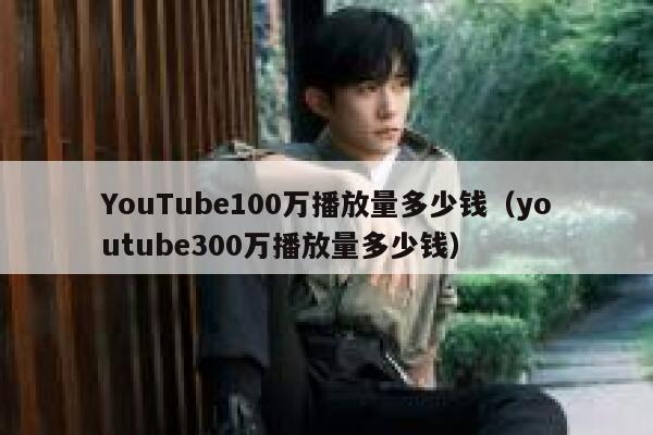 YouTube100万播放量多少钱（youtube300万播放量多少钱） 第1张
