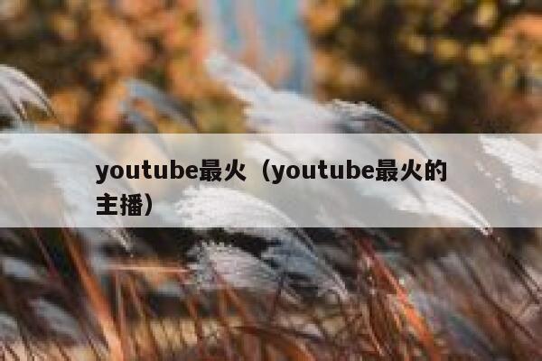 youtube最火（youtube最火的主播） 第1张