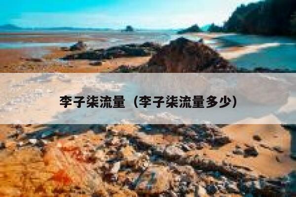 李子柒流量（李子柒流量多少） 第1张