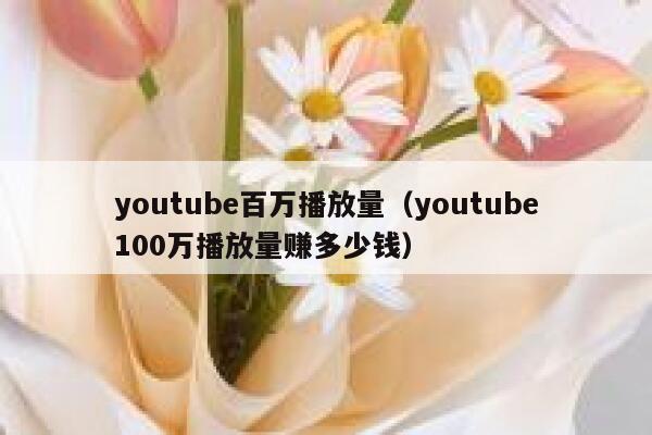 youtube百万播放量（youtube100万播放量赚多少钱） 第1张